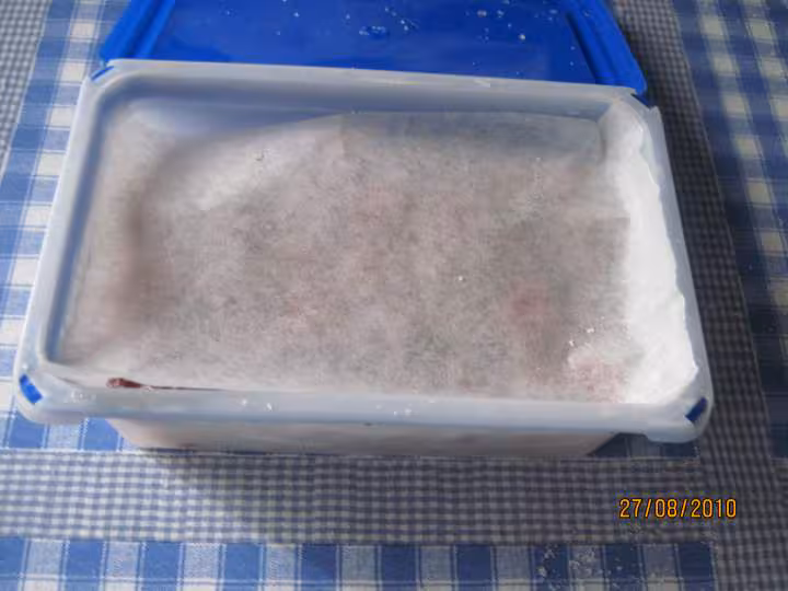 Fruits rouges congeles congelation