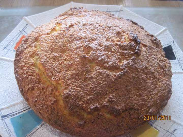 Gateau a la poudre de noix de coco