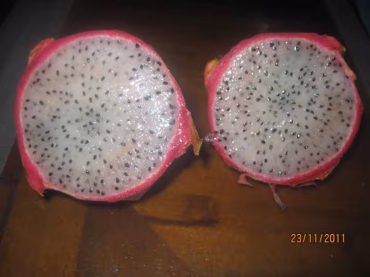 Gateau au fruit pitaya au micro ondes