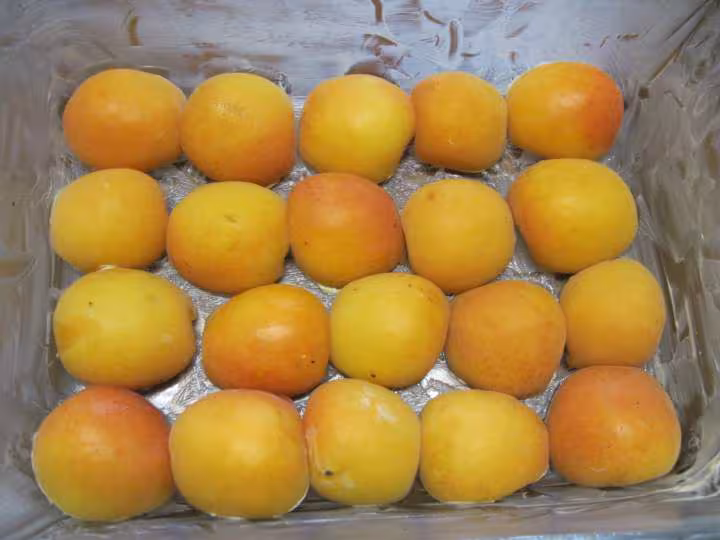 Gateau aux abricots