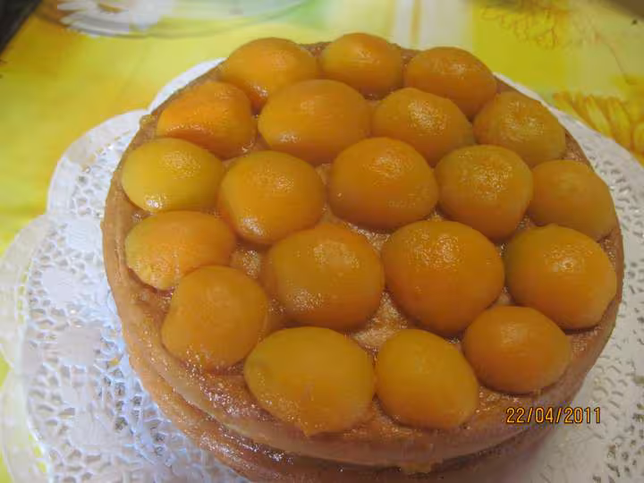Gateau aux abricots rapide sans cuisson