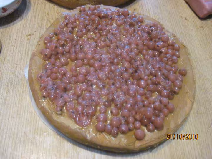Gateau s cuissoncreme speculoos et nappage de chocolat