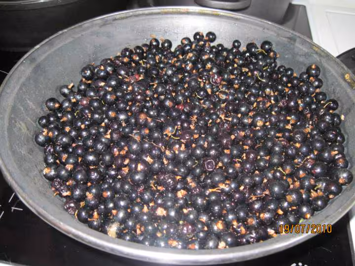 Gelee de cassis