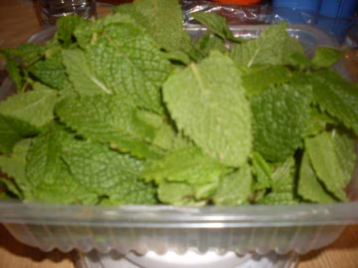 Gelee de menthe