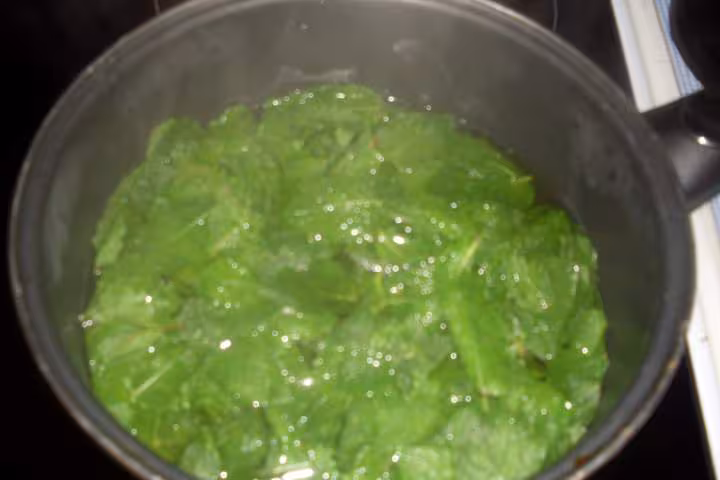 Gelee de menthe amp lamelles de pomme