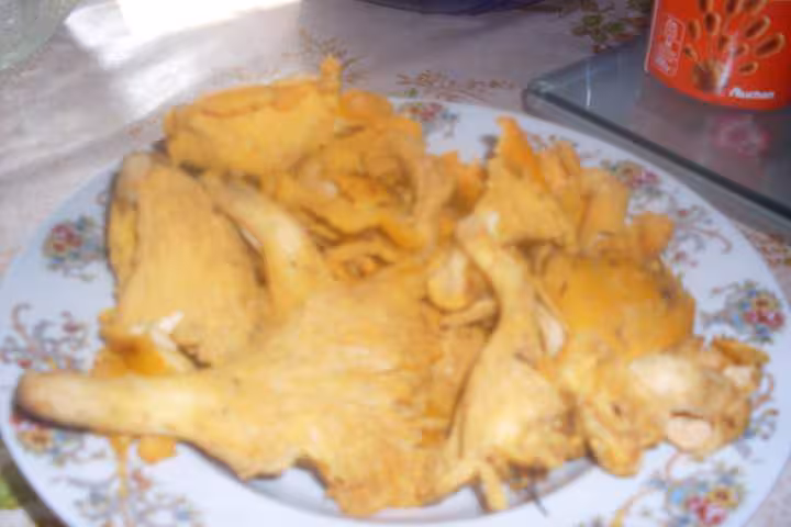 Girolles a la persillade photos