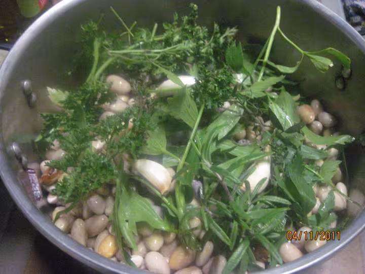 Gite de boeuf aux haricot de paimpol et carottes