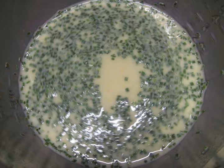 Gratin de cotelettes de porc et champignons