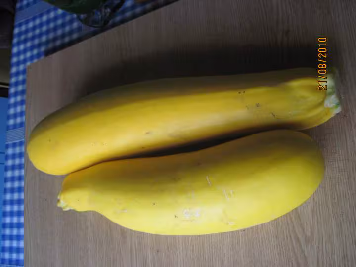 Gratin de courgette jaune