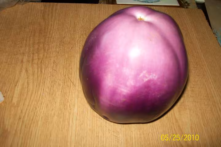 Grosse d aubergine d italie farcis
