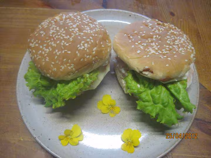 Hamburgers aux medaillons saumon rose