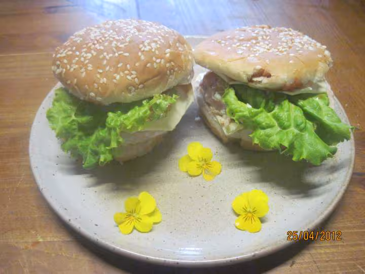 Hamburgers aux medaillons saumon rose