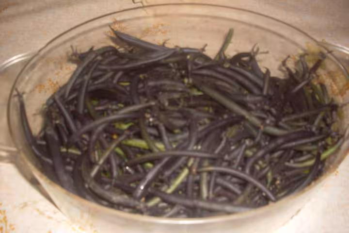 Haricots violets cuits verts