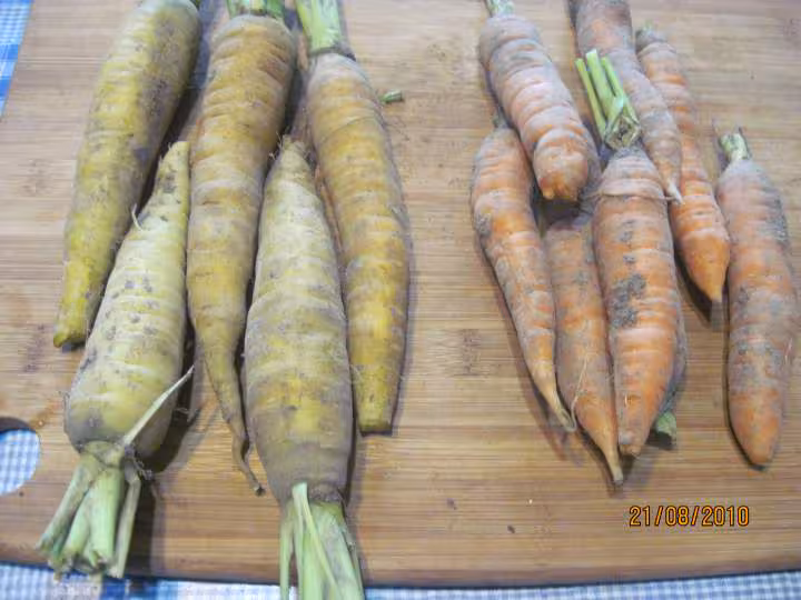 Jardiniere de legumes au saumon roses en wok
