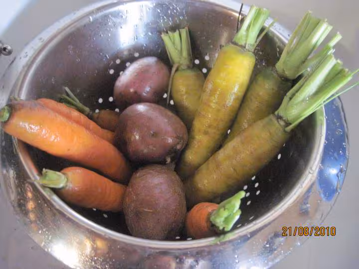 Jardiniere de legumes au saumon roses en wok