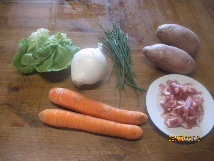 Jardiniere de legumes au saute de porc
