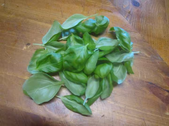 Joues de boeuf aux carottes et basilic