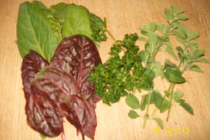 L oseille rouge et herbes aromatiques