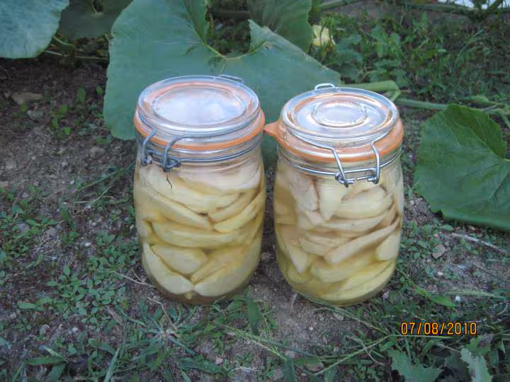 Lamelles de pommes aux sirop cuites en sterilisation
