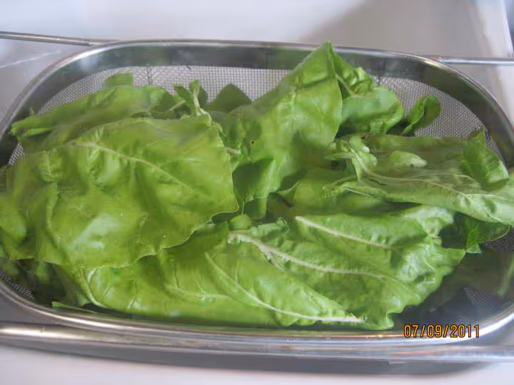 Lamelles de poulet aux feuilles de blette