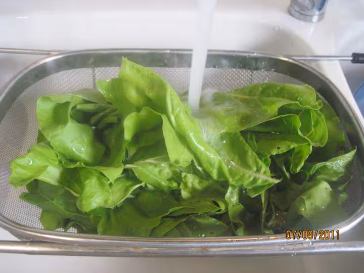 Lamelles de poulet aux feuilles de blette
