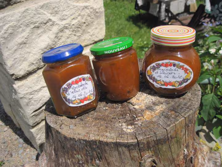 Marmelade d abricots a la vanille
