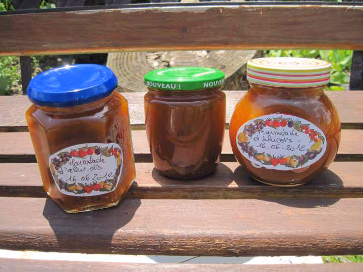 Marmelade d abricots a la vanille