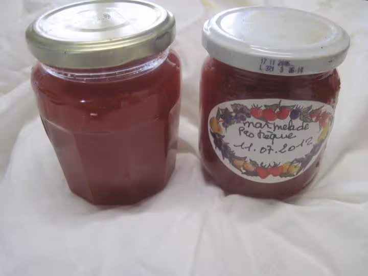 Marmelade de pasteque a la vanille