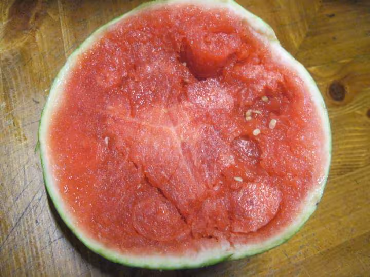 Marmelade de pasteque a la vanille