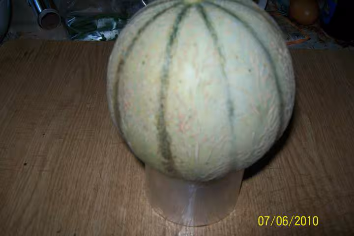 Melon garni fraicheur