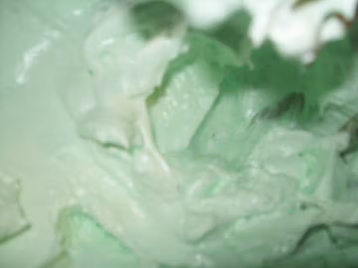 Meringues maison photo