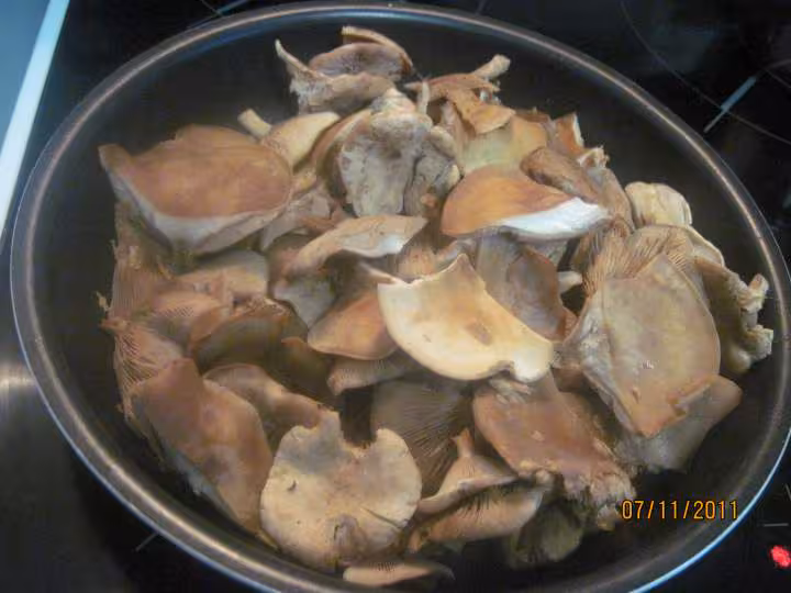 Omelette aux champignons
