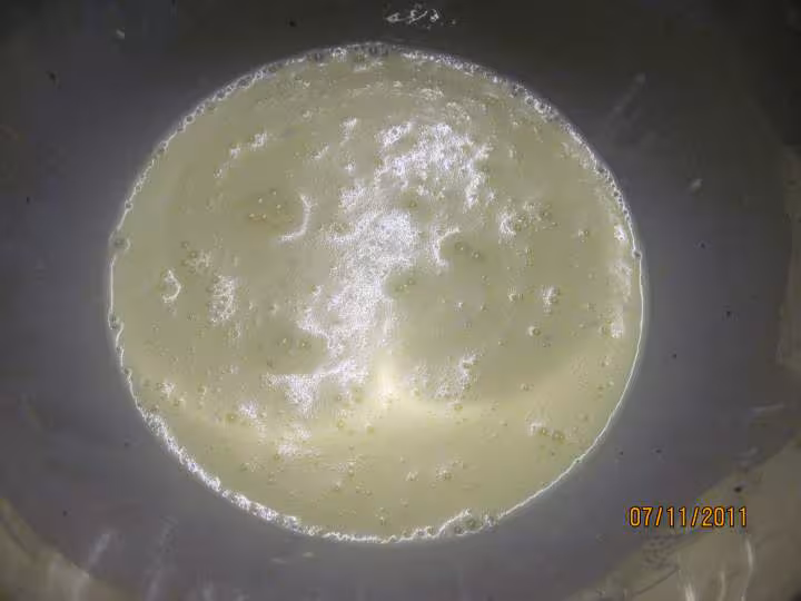 Omelette aux champignons