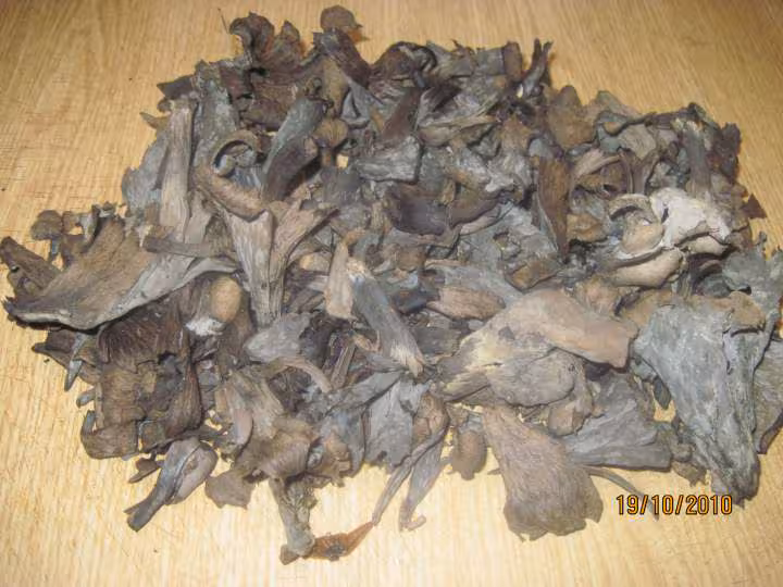 P de terre blue belle sautee garnie de champignons