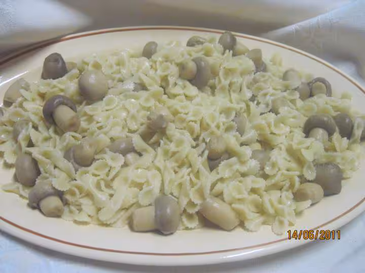 Pate aux poissons champignons en sauce