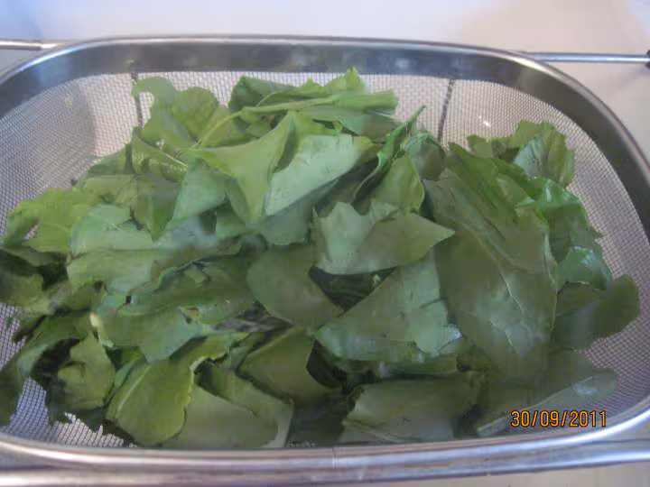 Pate coude a l oseille cuisinee en sauce