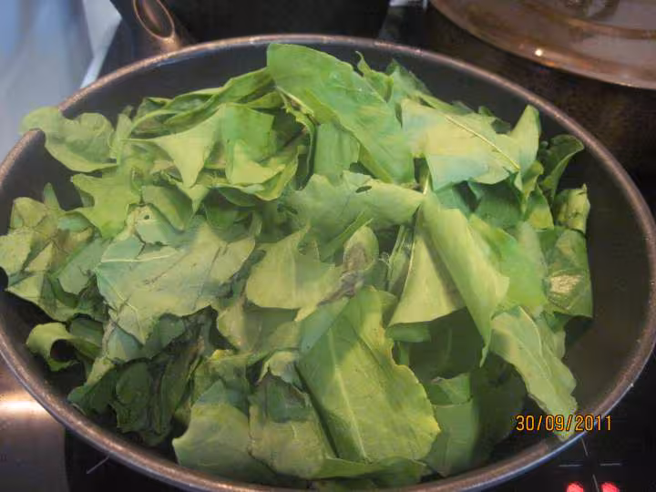 Pate coude a l oseille cuisinee en sauce
