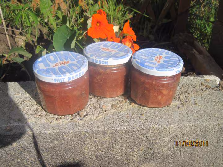 Pate de coeur de boeuf a l armagnac