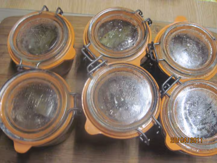 Pate de rognons de porc sterilises