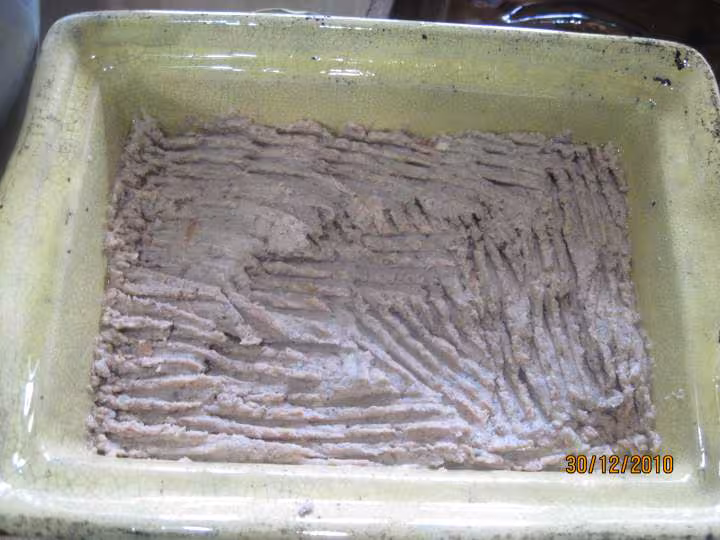 Pate de viande d agneau aux pleurotes
