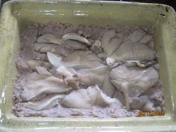 Pate de viande d agneau aux pleurotes
