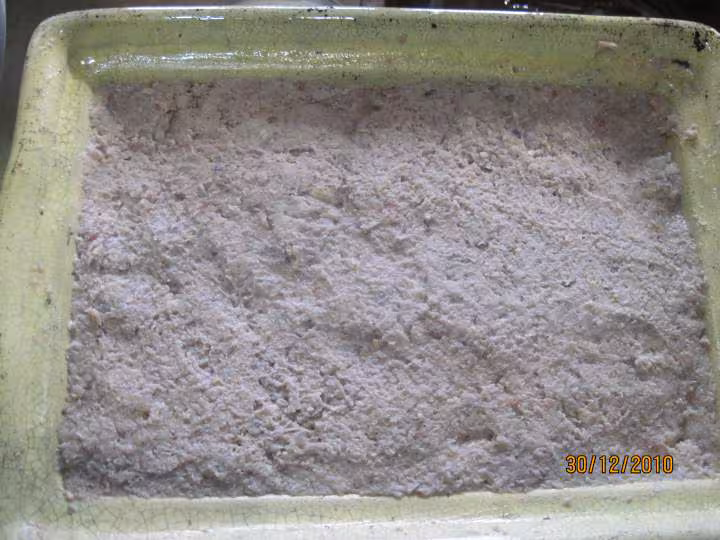 Pate de viande d agneau aux pleurotes