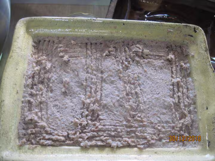 Pate de viande d agneau aux pleurotes