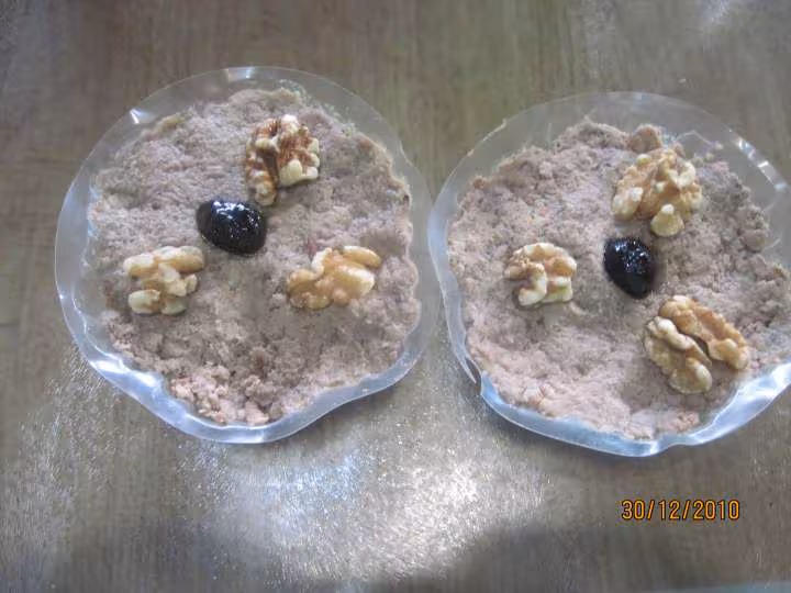 Pate de viande d agneau aux pleurotes