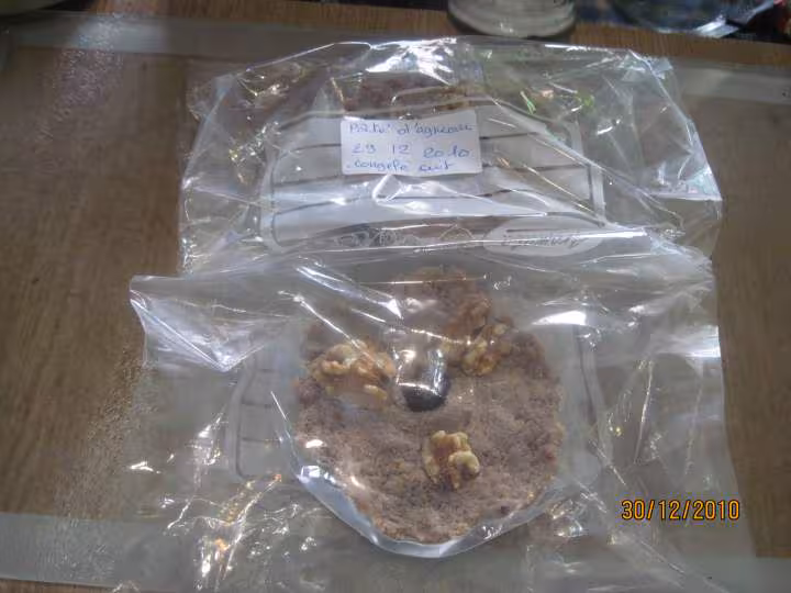 Pate de viande d agneau aux pleurotes
