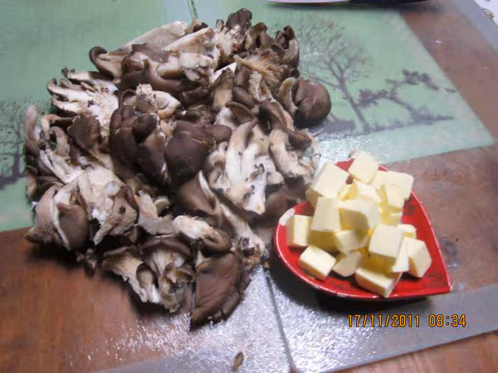 Pate farandelles de savoie aux pleurotes