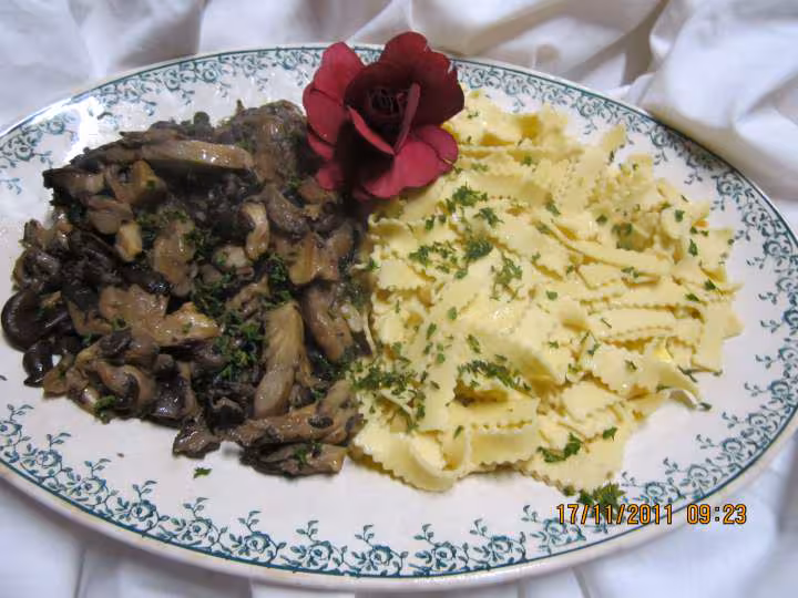 Pate farandelles de savoie aux pleurotes