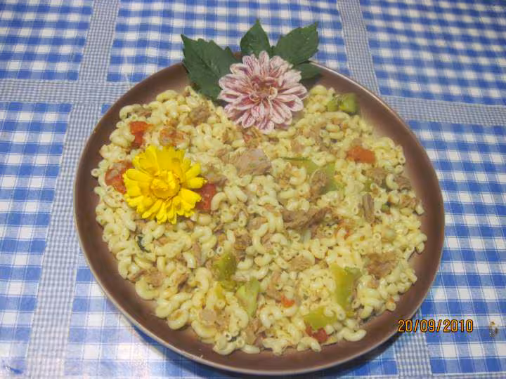 Pates coquillette aux tomates thon