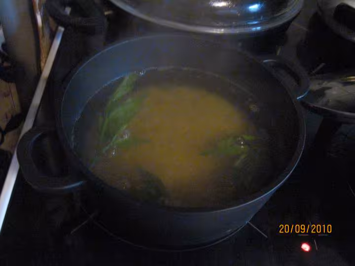 Pates coquillette aux tomates thon