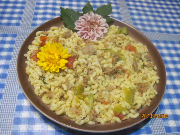 Pates coquillette aux tomates thon